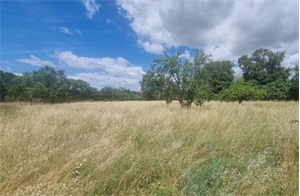 terrain à la vente -   81800  COUFOULEUX, surface 2330 m2 vente terrain - UBI461272763